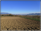 foto Alle pendici del Monte Grappa in Autunno